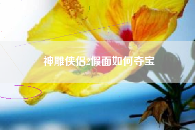 神雕侠侣2假面如何夺宝