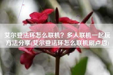 艾尔登法环怎么联机？多人联机一起玩方法分享(艾尔登法环怎么联机刷卢恩)