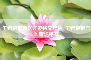 王者荣耀赠送好友铭文碎片_王者荣耀怎么赠送铭文