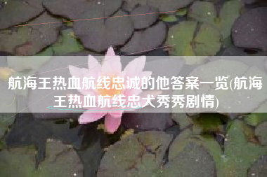 航海王热血航线忠诚的他答案一览(航海王热血航线忠犬秀秀剧情)