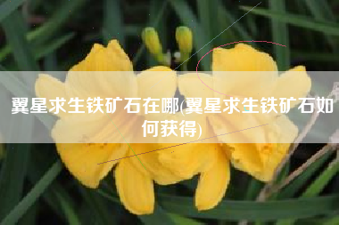 翼星求生铁矿石在哪(翼星求生铁矿石如何获得)