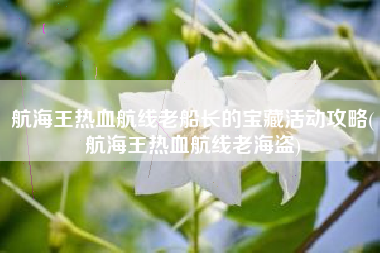 航海王热血航线老船长的宝藏活动攻略(航海王热血航线老海盗)