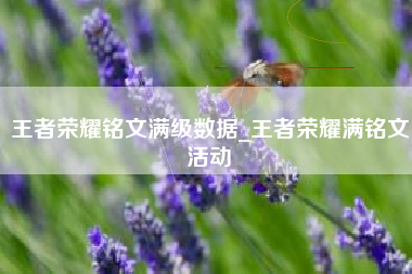 王者荣耀铭文满级数据_王者荣耀满铭文活动