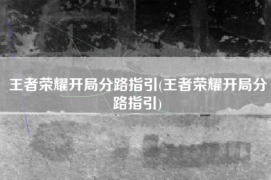 王者荣耀开局分路指引(王者荣耀开局分路指引)