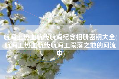 航海王热血航线航海纪念相册密钥大全(航海王热血航线航海王陨落之地的河流中)