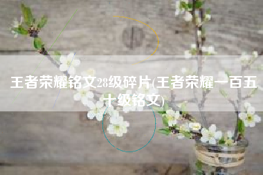 王者荣耀铭文28级碎片(王者荣耀一百五十级铭文)