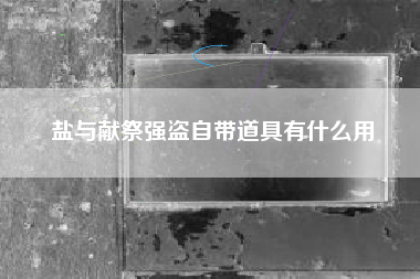 盐与献祭强盗自带道具有什么用