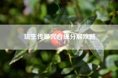 琉生传星咒合成分解攻略