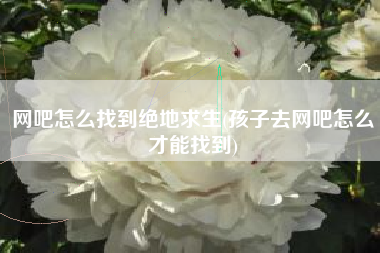 网吧怎么找到绝地求生(孩子去网吧怎么才能找到)