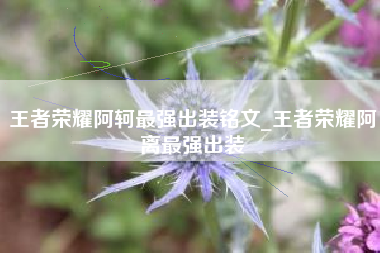 王者荣耀阿轲最强出装铭文_王者荣耀阿离最强出装