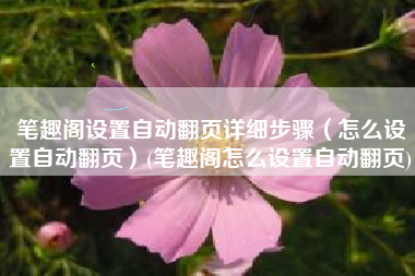 笔趣阁设置自动翻页详细步骤（怎么设置自动翻页）(笔趣阁怎么设置自动翻页)