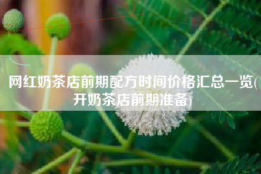 网红奶茶店前期配方时间价格汇总一览(开奶茶店前期准备)