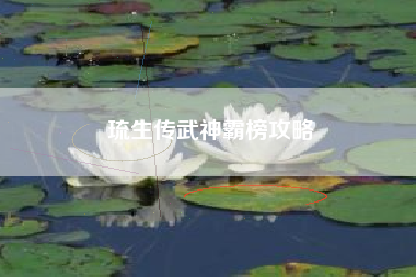 琉生传武神霸榜攻略