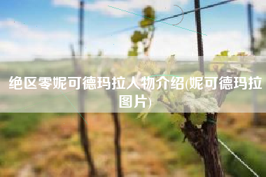 绝区零妮可德玛拉人物介绍(妮可德玛拉图片)