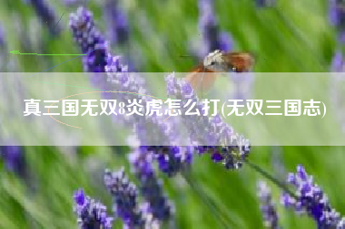 真三国无双8炎虎怎么打(无双三国志)