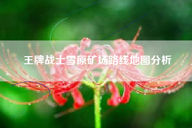 王牌战士雪原矿场路线地图分析