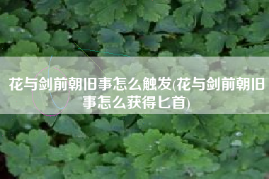 花与剑前朝旧事怎么触发(花与剑前朝旧事怎么获得匕首)