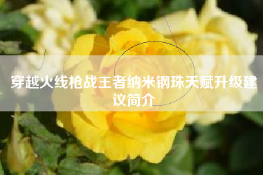 穿越火线枪战王者纳米钢珠天赋升级建议简介