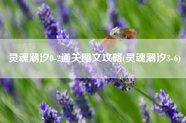 灵魂潮汐0-2通关图文攻略(灵魂潮汐3-6)