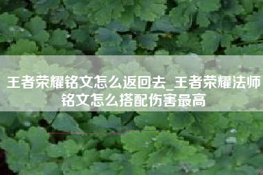 王者荣耀铭文怎么返回去_王者荣耀法师铭文怎么搭配伤害最高