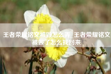 王者荣耀铭文被毁怎么弄_王者荣耀铭文被毁了怎么找回来