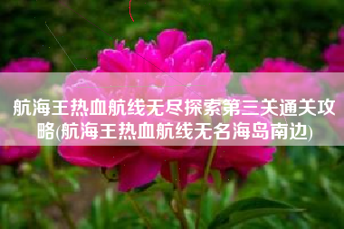 航海王热血航线无尽探索第三关通关攻略(航海王热血航线无名海岛南边)