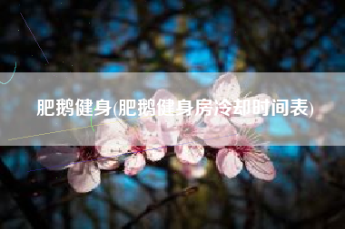 肥鹅健身(肥鹅健身房冷却时间表)