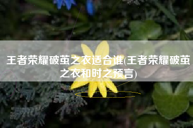王者荣耀破茧之衣适合谁(王者荣耀破茧之衣和时之预言)