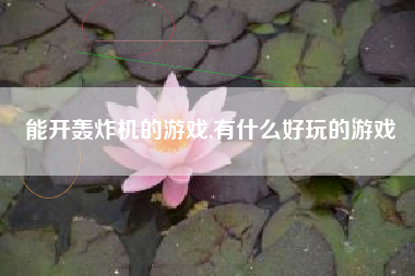 能开轰炸机的游戏,有什么好玩的游戏
