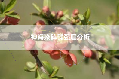 神海染砗磲强度分析
