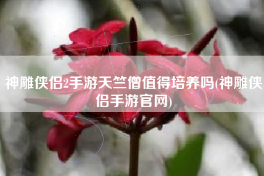 神雕侠侣2手游天竺僧值得培养吗(神雕侠侣手游官网)