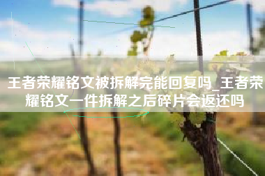 王者荣耀铭文被拆解完能回复吗_王者荣耀铭文一件拆解之后碎片会返还吗
