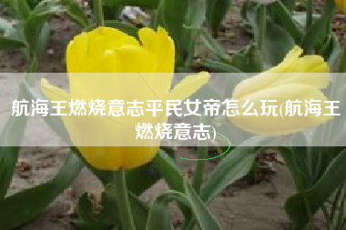 航海王燃烧意志平民女帝怎么玩(航海王燃烧意志)