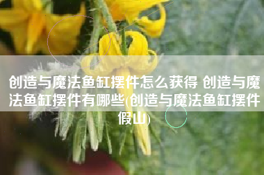 创造与魔法鱼缸摆件怎么获得 创造与魔法鱼缸摆件有哪些(创造与魔法鱼缸摆件假山)