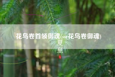 花鸟卷首领御魂(ssr花鸟卷御魂)