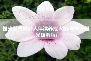 橙光游戏局外人伴读养成攻略(局外人橙光破解版)