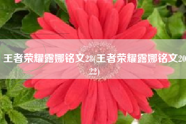 王者荣耀露娜铭文28(王者荣耀露娜铭文2022)