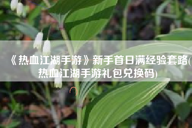 《热血江湖手游》新手首日满经验套路(热血江湖手游礼包兑换码)