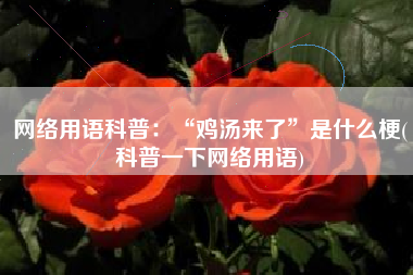 网络用语科普：“鸡汤来了”是什么梗(科普一下网络用语)