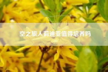空之旅人莉迪亚值得培养吗