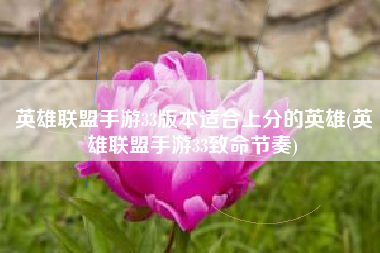 英雄联盟手游33版本适合上分的英雄(英雄联盟手游33致命节奏)