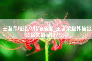 王者荣耀铭文韩信搭配_王者荣耀韩信出装铭文最强搭配2020