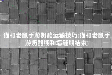 猫和老鼠手游奶酪运输技巧(猫和老鼠手游奶酪期和墙缝期结束)