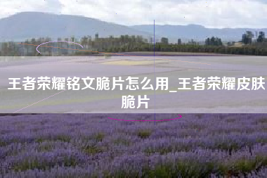王者荣耀铭文脆片怎么用_王者荣耀皮肤脆片