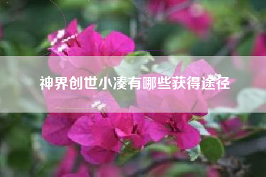 神界创世小凑有哪些获得途径