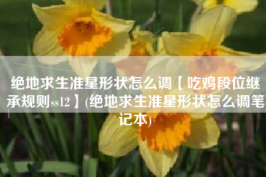 绝地求生准星形状怎么调【吃鸡段位继承规则ss12】(绝地求生准星形状怎么调笔记本)