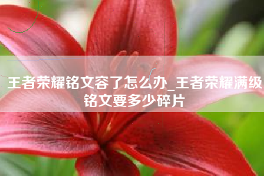 王者荣耀铭文容了怎么办_王者荣耀满级铭文要多少碎片