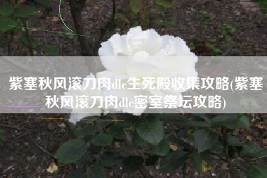 紫塞秋风滚刀肉dlc生死殿收集攻略(紫塞秋风滚刀肉dlc密室祭坛攻略)