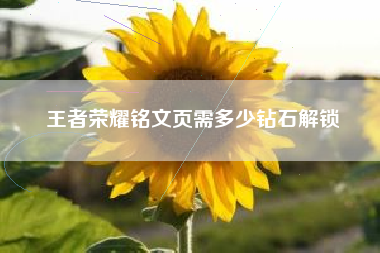王者荣耀铭文页需多少钻石解锁