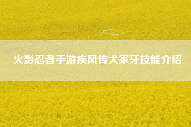 火影忍者手游疾风传犬冢牙技能介绍